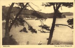 VINTAGE POSTCARD Toulon Seen On Sainte Marguerite
