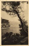 VINTAGE POSTCARD Soft France Of Toulon Azure Seen On the Brown Cape
