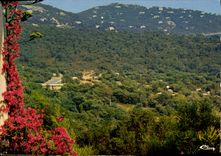 MODERN CARD Cavaliere On Sea View In the Foreground the Camp-site Of the Mimosas
