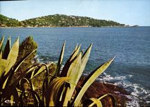 MODERN CARD Cavaliere View On the Negro Cape