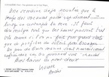 CPM Cavaliere Vue Generale Sur Le Cap Negre