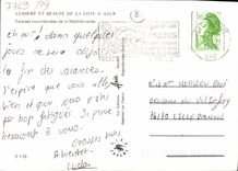 CPM Lumiere Et Beaute De La Cote d'Azur Falaises Tourmentees De La Mediterranee