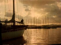 CPM Lumiere Et Beaute De La Cote d'Azur Lever Du Jour En Mediterranee