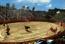 MODERN CARD the Dimension of Azure Bullfight In Arena Of Frejus Bullfight Bull