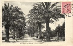 POSTAL Hyeres de la VENDIMIA la avenida de Godillot de las palmeras