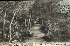 La POSTAL Hyeres de la VENDIMIA debajo de Bois tiene Costebelle