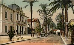 POSTAL Hyeres de la VENDIMIA el ayuntamiento y la avenida de las palmeras