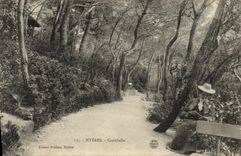 POSTAL Hyeres Costebelle de la VENDIMIA