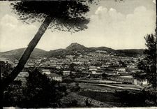 POSTAL MODERNA opinión de las palmeras de Hyeres