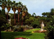 POSTAL MODERNA palmeras de Hyeres el jardín de Denys