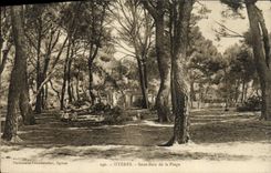 CPA Hyeres Sous Bois de La Plage