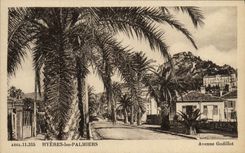 CPA Hyeres Les Palmiers Avenue Godillot