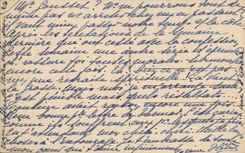 CPA Hyeres Les Palmiers Avenue Godillot