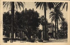 CPA Hyeres Les Palmiers Avenue de Belgique