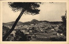 Panorama de la POSTAL de la VENDIMIA de las palmeras de Hyeres