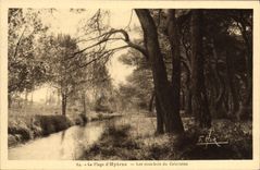 POSTAL Hyeres de la VENDIMIA debajo de la madera de la correa