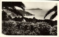 CPA Hyeres les Palmiers Giens Vue Sur l'ile de Ribaud 