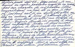 CPA Hyeres les Palmiers Giens Vue Sur l'ile de Ribaud 