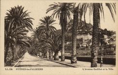 POSTAL Hyeres de la VENDIMIA la avenida de Godillot de las palmeras y la ciudad