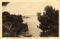 Palmeras Almanarre y Pesquiers de Hyeres de la POSTAL de la VENDIMIA vistos de San Salvadour