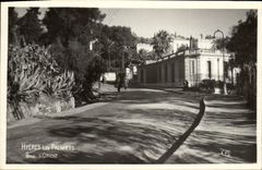 CPA Hyeres Les Palmiers Boulevard d'Orient