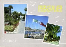 POSTAL MODERNA palmeras de Hyeres
