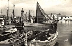 POSTAL MODERNA D salino Hyeres los barcos portuarios del pecado