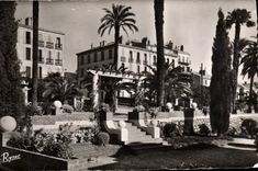 POSTAL MODERNA Hyeres las palmeras cultiva un huerto y las pérgolas en la avenida de Bélgica