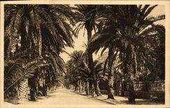 CPA Hyeres Les Palmiers Avenue Godillot