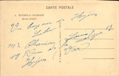 CPA Hyeres Les Palmiers Avenue Godillot