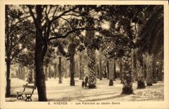 Palmeras de Hyeres de la POSTAL de la VENDIMIA con el jardín de Denis