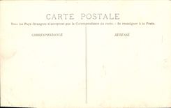 CPA Hyeres Aloes en Fleurs