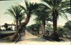 CPA Hyeres Avenue Godillot