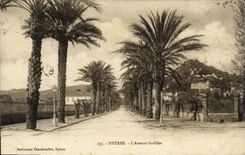 CPA Hyeres L'Avenue Godillot