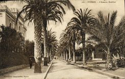 CPA Hyeres L'Avenue Godillot