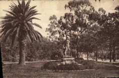 POSTAL Hyeres de la VENDIMIA las reglas del jardín de Denis de las palmeras del duque de Anjou