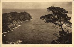 POSTAL Hyeres de la VENDIMIA los puntos de las islas de Porqueroiles de Oustaou de Diou