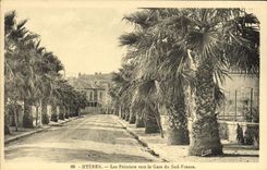 Palmeras de Hyeres de la POSTAL de la VENDIMIA hacia la estación de tren de la Francia del sur