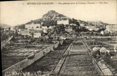 CPA Hyeres Les Palmiers Vue Generale prise de I'Avenue Victoria