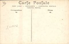 Las palmeras de Hyeres de la POSTAL de la VENDIMIA ven tomado de la avenida Victoria de I