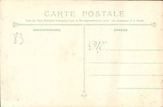 Plantas del sisal de las palmeras de Hyeres de la POSTAL de la VENDIMIA en la línea de las flores del sur de Francia