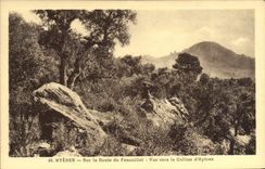 CPA Hyeres Sur La Route du Fenouillet Vue Vers La Colline d'Hyeres