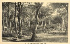 CPA La Plage d'Hyeres Les Pins