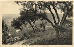 CPA Hyeres Une Vue Panoramique