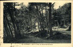 POSTAL Hyeres de la VENDIMIA en el camino del montaje de los pájaros