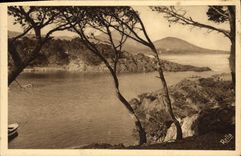 VINTAGE POSTCARD the Gold Cornice the handle of the Long Camp and the point of Baumette