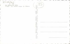 POSTAL de la VENDIMIA las rocas rojas de la cornisa del oro de Esterel