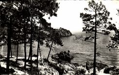 CPA La Cote d'Azur Miracle de la Nature La Corniche d'Or 