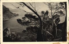 VINTAGE POSTCARD the Gold Cornice Towards Agay