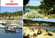 MODERN CARD Lavandou